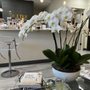Photo of The Better Skin Spa