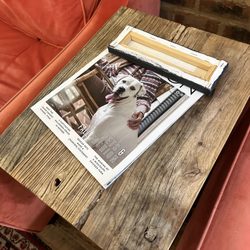 Lost Dog Coffee - So cute lost dog mag!