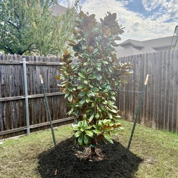 Moon Valley Nurseries - Nurseries & Gardening Near Me - McKinney, Texas