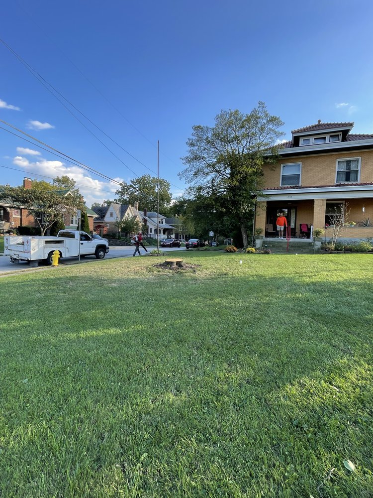 Bills Tree Care Service Plus - tree service in Cincinnati, OH