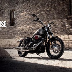Napoleon Harley Davidson