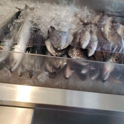 Good Fish Market