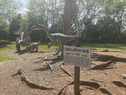 Dinosaur Land by null