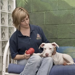 Pete and Mac's Pet Resorts - loving, trained pet guardians on site 24/7