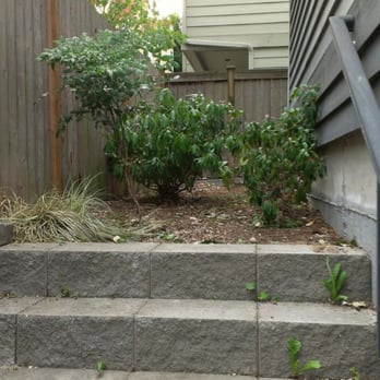Urban Arborist - After Urban Arborist - Tree Services Near Me - Seattle, Washington Urban Arborist - After Urban Arborist - Tree Services Near Me - Seattle, Washington