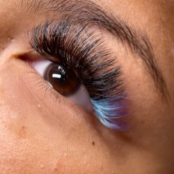 Bambi Lash