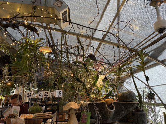 Greenhouse Bar by null