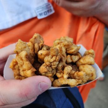 Minnesota State Fair - Alligator - Festivals Near Me - Saint Paul, Minnesota Minnesota State Fair - Alligator - Festivals Near Me - Saint Paul, Minnesota