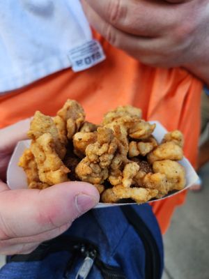 Minnesota State Fair by null