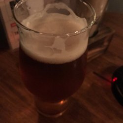 Bucare - Indian Pale ipa