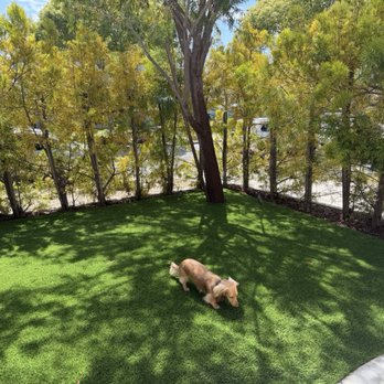 SmartGrass - Artificial Turf Near Me - Manhattan Beach, California