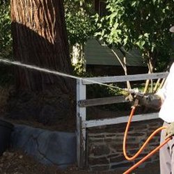 Rod Diehl Pest Control