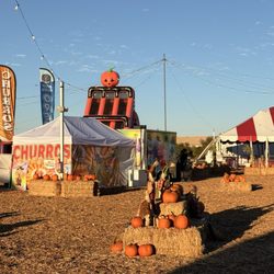 Seasonal Adventures Pumpkin Patch