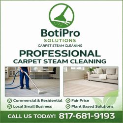 BotiPro Solutions Carpet Steam Cleaning