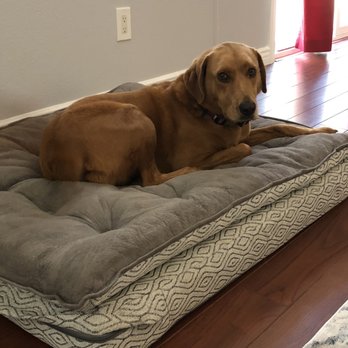 Canine Custom Cuts - Pet Groomers Near Me - Yorba Linda, California