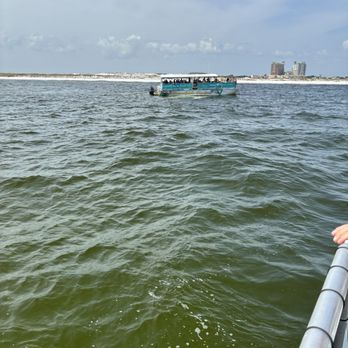 Destin Snorkel Tours - Boating Near Me - Destin, Florida Destin Snorkel Tours - Boating Near Me - Destin, Florida