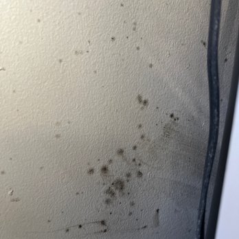 Loma Palisades - Entire wall in living room that was just cleaned a week ago - Apartments Near Me - San Diego, California Loma Palisades - Entire wall in living room that was just cleaned a week ago - Apartments Near Me - San Diego, California