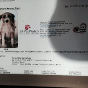 DFW Humane Society - Animal Shelters Near Me - Irving, Texas