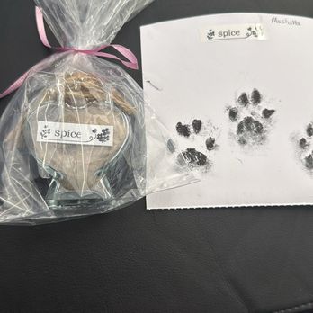 Park Animal Hospital - Cat memorial items - Veterinarians Near Me - Simi Valley, California Park Animal Hospital - Cat memorial items - Veterinarians Near Me - Simi Valley, California