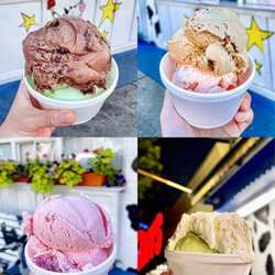 Dairy Delight - Daily check-in