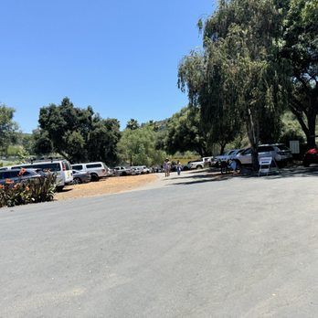 Daily Blooms Lavender Farm - Small parking lot - Farms Near Me - Fallbrook, California Daily Blooms Lavender Farm - Small parking lot - Farms Near Me - Fallbrook, California