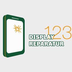 Displayreparatur123