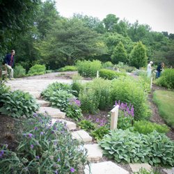 Midwest Groundcovers