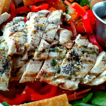 Fuego's Saloon - Grilled chicken over fresh greens, a bit too healthy for me, but she loved it! - Cocktail Bars Near Me - Houston, Texas