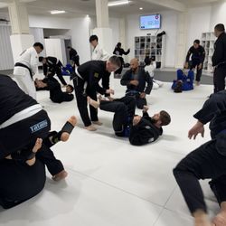 Lokahi Jiu Jitsu - Lokahi Jiu Jitsu classes for adults.
Jiu Jitsu in Temecula. Programs for Kids and Adults. Gi and No-Gi grappling.