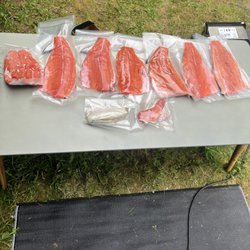 The Dirty Worm Sport Fishing - Salmon filets
