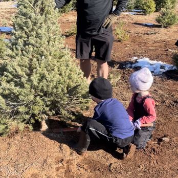 McBurney Tree Farm - Best $64 ever spent - Christmas Trees Near Me - Grass Valley, California McBurney Tree Farm - Best $64 ever spent - Christmas Trees Near Me - Grass Valley, California