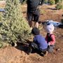Photo of McBurney Tree Farm
