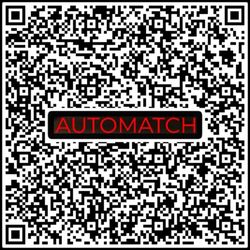 Automatch