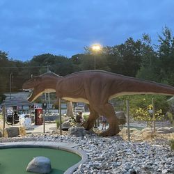 Raptor Falls