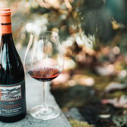 Lemelson Vineyards