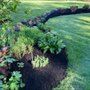 Photo of Next Level Landscaping