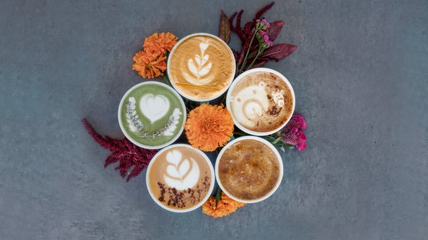 Pachamama Coffee by null