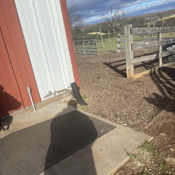 Quattro Goomba's Winery - Outside - Wineries Near Me - Aldie, Virginia