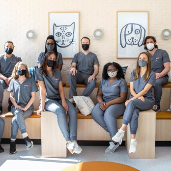 Bond Vet - Kips Bay - Veterinarians Near Me - Manhattan, New York