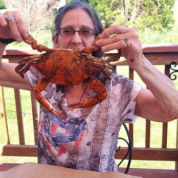 Crabs Out  Back - Jumbo crabs - Seafood Near Me - Conowingo, Maryland