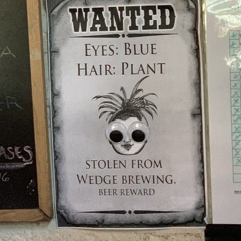 Wedge Brewing Company - Bars Near Me - Asheville, North Carolina Wedge Brewing Company - Bars Near Me - Asheville, North Carolina