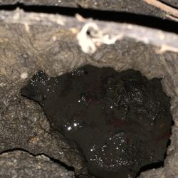 Humboldt Property Management - Sewer leak that existed under the house the entire duration of our stay.