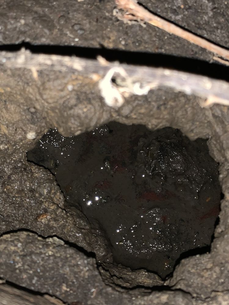 HUMBOLDT PROPERTY MANAGEMENT Updated September 2024 15 Photos & 60