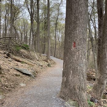 Cunningham Falls State Park - Campgrounds Near Me - Thurmont, Maryland Cunningham Falls State Park - Campgrounds Near Me - Thurmont, Maryland