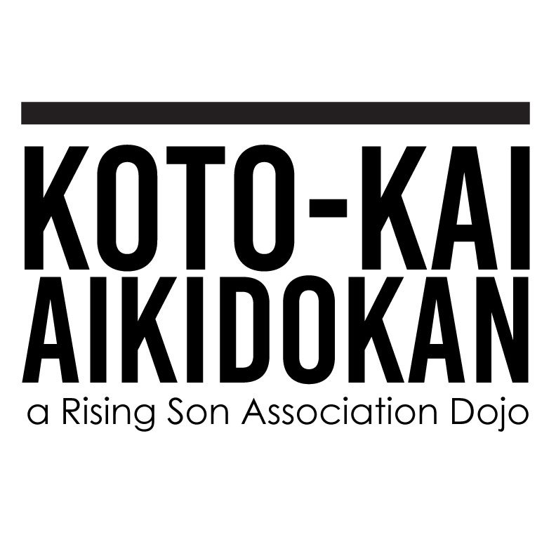 Kotokai Aikido - social services organization in Plano, TX