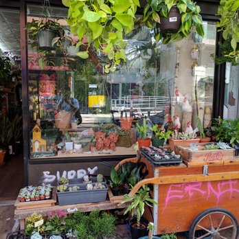 Joy's Flowers Pot - Florists Near Me - New York, New York