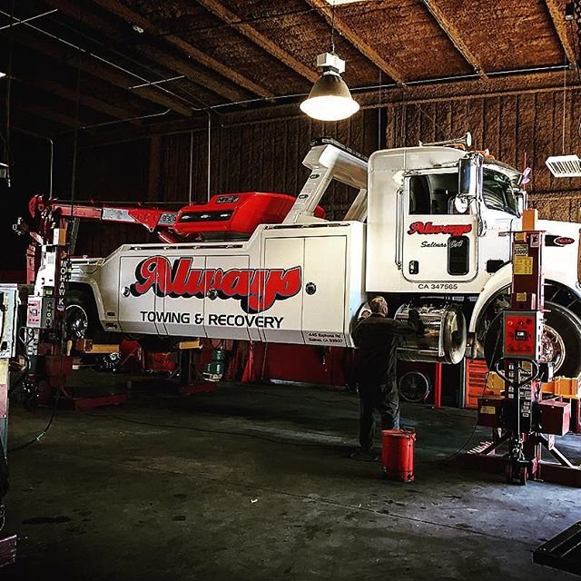 WILLIAMS EQUIPMENT Updated September 2024 14 Photos 487 El Camino