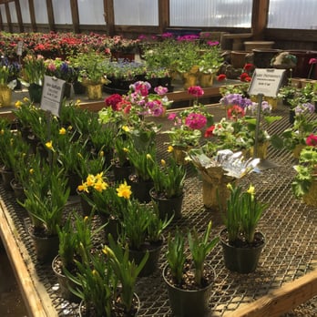 Wallkill View Farm Market - Fruits & Veggies Near Me - New Paltz, New York
