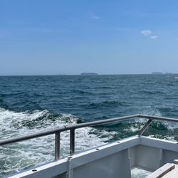Long Island Whale & Seal Watching