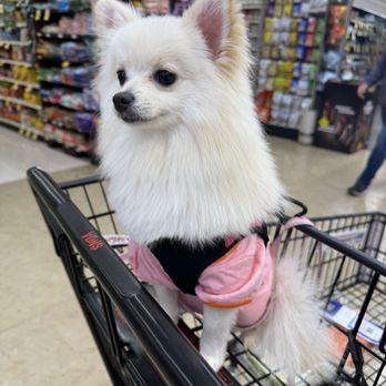 Petco - Pet Stores Near Me - Los Angeles, California Petco - Pet Stores Near Me - Los Angeles, California